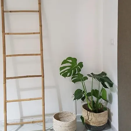 La Ceiba Speciosa * Capaccio