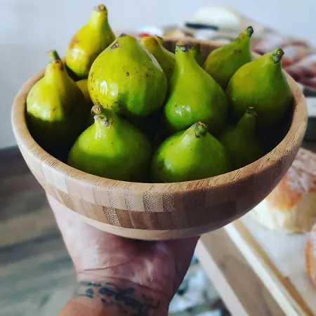 La Ceiba Speciosa Bed & Breakfast Capaccio